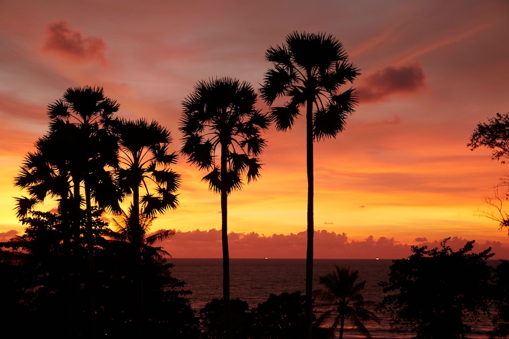 Palmen vor einem tropischen Sonnenuntergang in Khao Lak