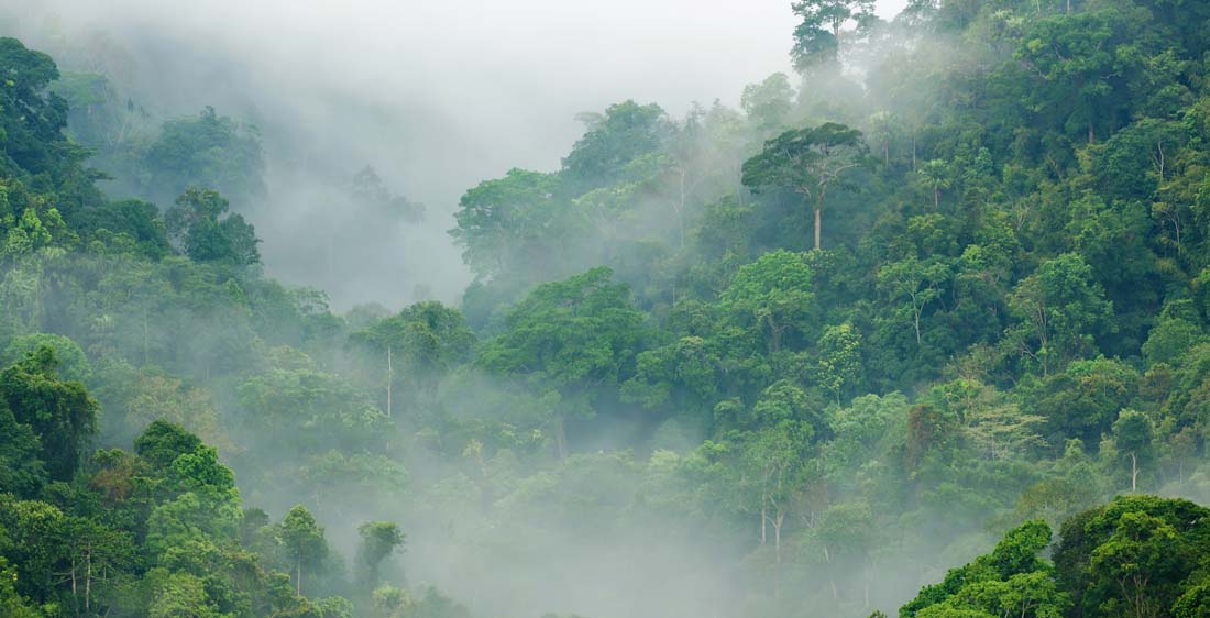 Khao Lak in der Regenzeit ist wunderschön